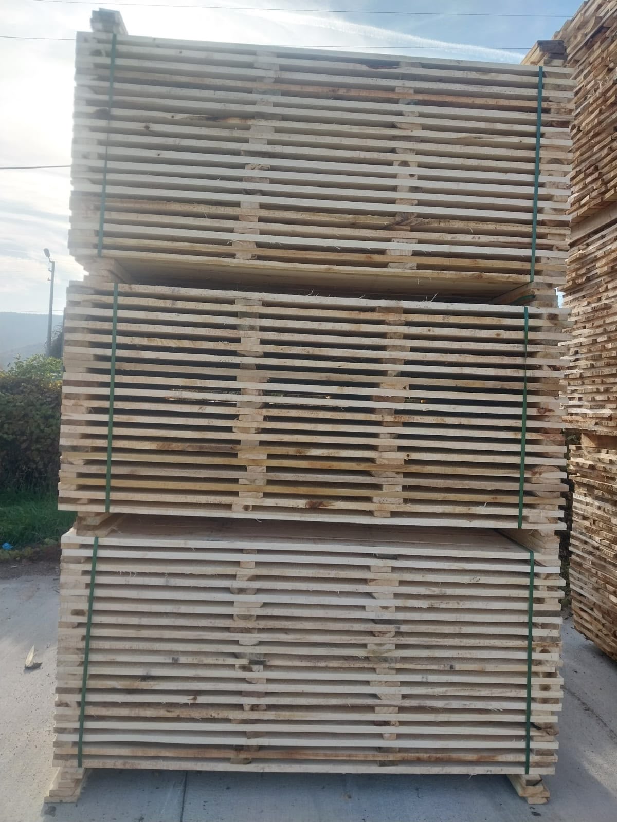 Kavak çıta stok